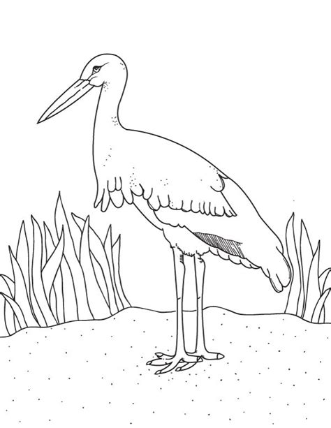 printable stork coloring page    https