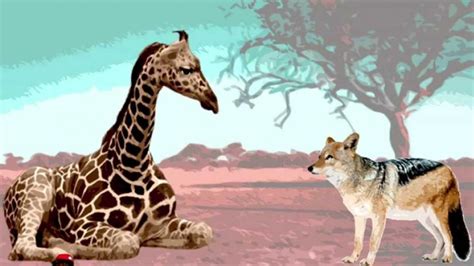 de taal van de giraffe en de jakhals grit  education