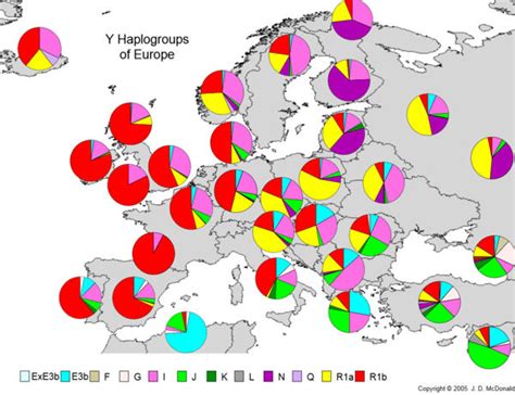 Major Y Dna And Mtdna Haplogroups