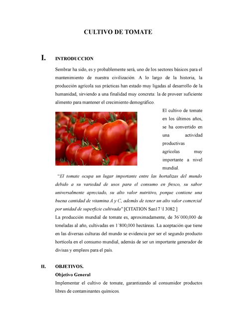 informe cultivo de tomate cultivo de tomate  introduccion sembrar ha sido es