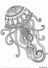 Zentangle Jellyfish Coloriage Adulte sketch template