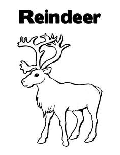 images  reindeer  pinterest christmas crafts  kids