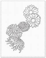 Crizanteme Colorat Planse Coloram Desenat Interferente sketch template