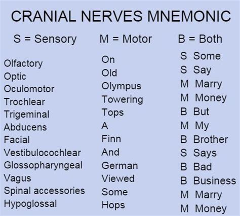 cranial nerves mnemonic  nursing cheat nursing student tips