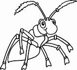 Ant Coloring Ants Pages Marching Kids Cartoon Cliparts Clipart Library Preschool Template Getdrawings Drawing Clip Coloringtop sketch template