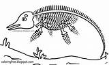 Dinosaur Coloring Prehistoric Dino Skeleton sketch template