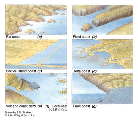 coast  shoreline processes