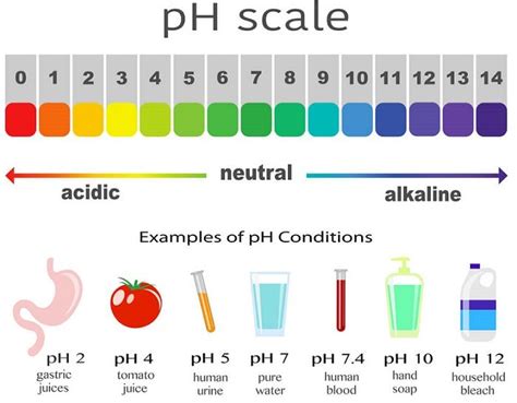 Tds Explained Drinking Water Tds Level Chart