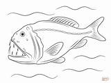 Fish Coloring Fangtooth Sea Deep Pages Drawing Printable Animals sketch template