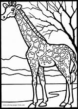 Coloring Pages Animal Giraffe Printable Color Africa Sheets Found Giraffes sketch template