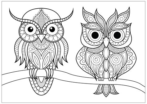 owls  simple patterns  branch owls adult coloring pages