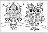 Owls Coloring Two Branch Simple Patterns Pages Calm Adults Adult Animals Resting Pretty Nature sketch template