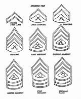 Army Coloring Pages Armed Forces Marine Rank Enlisted Veterans Corps Military Insignia Ranks Color Usmc Badges American Sheets Kids Promotion sketch template