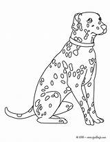 Dalmatien Coloriage Pages Perros Hellokids Coloriages Dalmata Dalmatas Cachorro Endormi Archivioclerici Colorier Dalmatian Dobermann Bulldog Francés sketch template