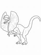 Dinosaurier Dilophosaurus Ausdrucken Ausmalbild Ausmalbilder Malvorlagen Ausmalen Dinos Steinzeit Drucken sketch template