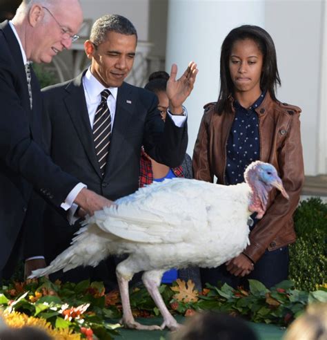 president obama pardons the thanksgiving turkey at the white house