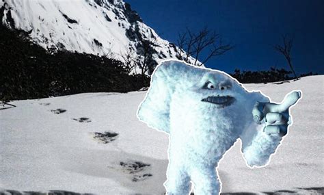 army thinks  mythical yeti  real  nobodys buying  culture