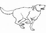 Coloring Pages Wolf Running Prey Color Colornimbus sketch template