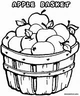 Coloring Apple Pages Apples Basket Drawing Getdrawings sketch template
