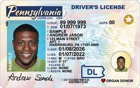 pa  revamping design   drivers license pennlivecom