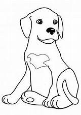 Cachorro sketch template