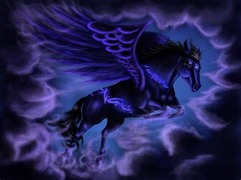 fantasy pegasus hd wallpaper  xdjurax