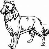 Coloring Dog Pages Wecoloringpage sketch template