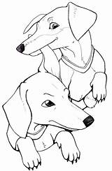 Dachshund Coloring Pages Printable Drawing Stencil Aphmau Aaron Puppy Long Dog Color Silhouette Template Getcolorings Getdrawings Haired Pencil Clube sketch template