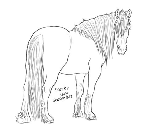 images  horse coloring pages  pinterest