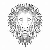 Lion Outline Head Cartoon Lines Line Drawing Coloring Mane King Portrait Book Vector Isolated Outlines Background Curve Animals Clip Cute sketch template