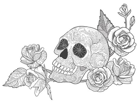 skull  rose coloring book page  adults stock illustration