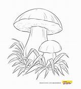 Kolorowanki Jesień Dla Dzieci Jesienne Do Malowanki Mushrooms Wydruku Vegetables Drukowania Pl Grzybek Coloring Roku Pory Na Online sketch template