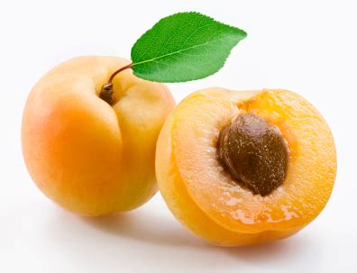 apricot fruit photo  fanpop
