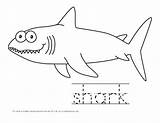 Sharks Printable Animals Handwriting Colouring Cute sketch template