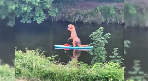 Two T Rexes Innocently Paddle Along A River Listening To The ‘jurassic