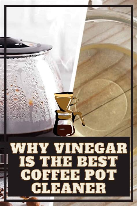 clean  coffee pot  white vinegar  methods shiny clean