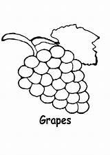 Grapes Colorir Vineyard Uva Fruits Desenhos sketch template