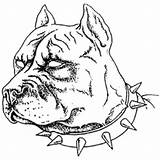 Pitbull Coloring Pages Pit Dog Afbeeldingsresultaat Drawing Dogs Getcolorings Printable Bully American Getdrawings Print sketch template