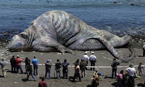 top     biggest sea animal lestwinsonlinecom