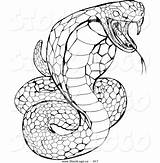 Python Snake Garter Drawing Coloring Pages Clipartmag Drawings Paintingvalley sketch template