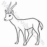 Gazelle Coloring Pages Getcolorings sketch template