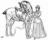 Theequinest Horsemanship sketch template
