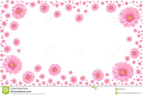 frame cor de rosa da flor no fundo branco imagem de stock royalty free imagem 8797526
