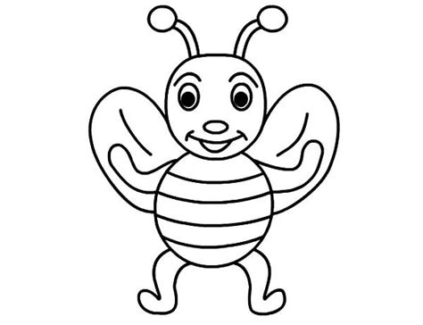 pin  honey bee coloring pages