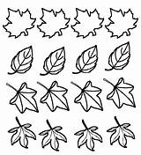 Frunze Colorat Planse Planşe Găsiţi Multe Toamna sketch template