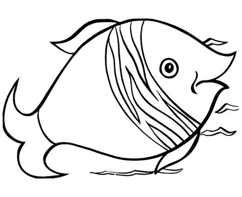 pin  fish