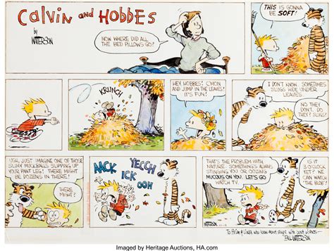 record an original calvin and hobbes sunday strip sold at heritage