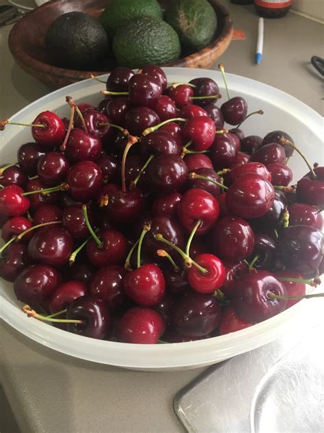 Gotta Love Cherry Season In Australia Pics