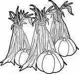 Corn Coloring Pumpkins Stalks Printable Stalk Clipart Fall Hay Pumpkin Pages Cartoon Mums Color Sheets Kids Gourds Print Colouring Cliparts sketch template