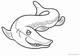 Rochen Haie Squali Colorare Disegni Rekiny Tiburones Mantarayas Coloring Tubaroes Ausmalbild Bambini Malvorlagen Drucken Pokoloruj sketch template